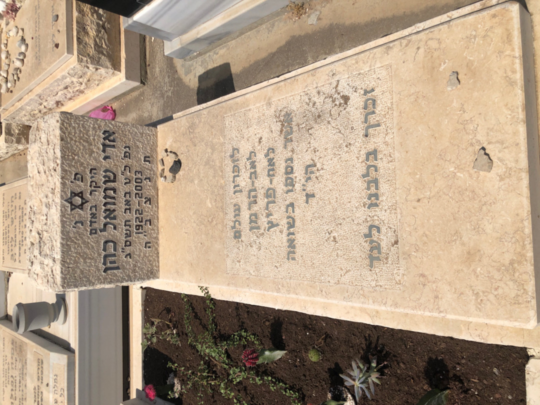 קברו של אדי שמואל כהן. תמונה 1